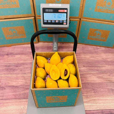 Eggfruit | Canistel | Yellow Sapote Box Specialty Box Tropical Fruit Box